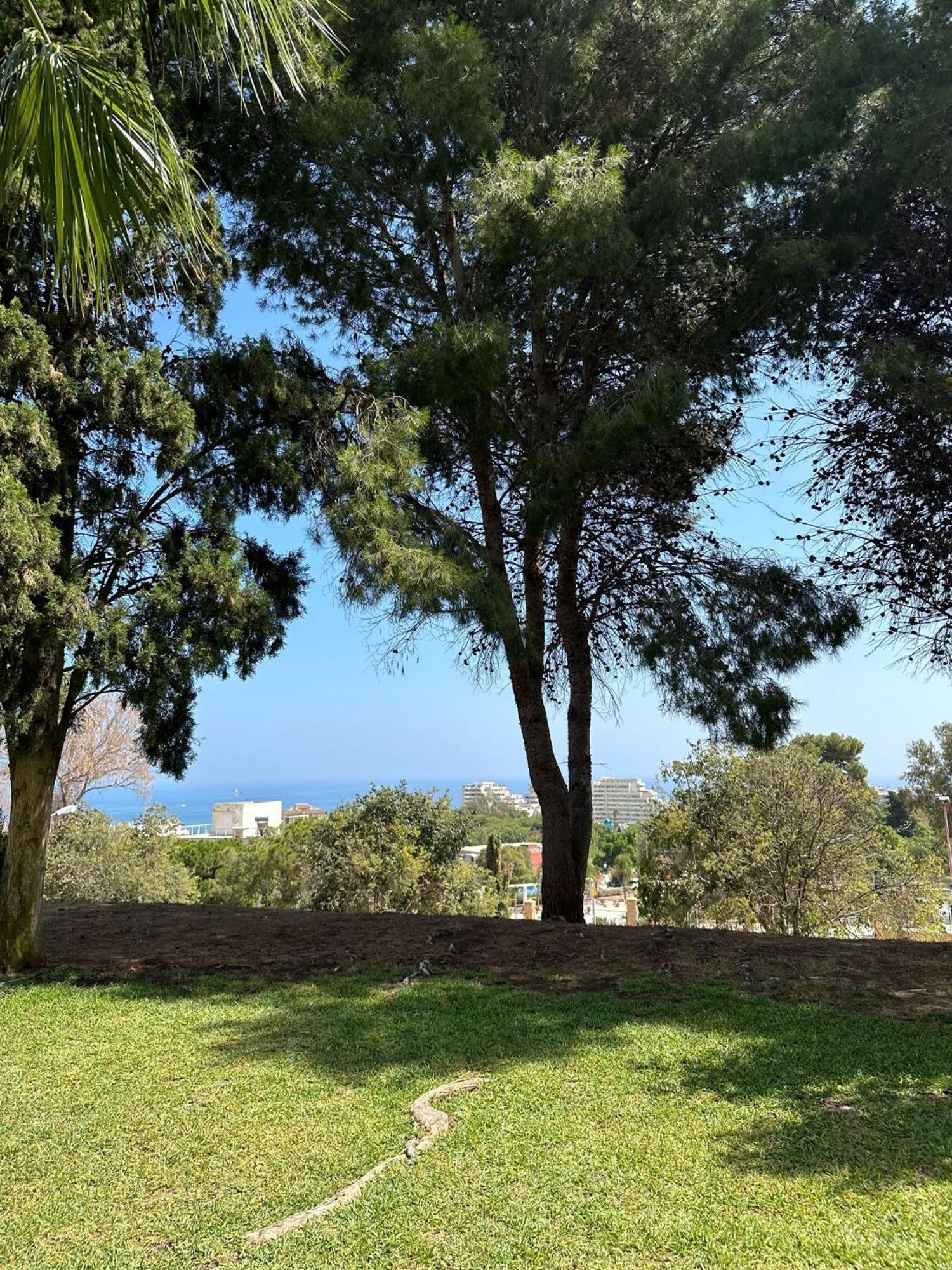 Benalmadena Gamonal Apartment Malaga Luaran gambar