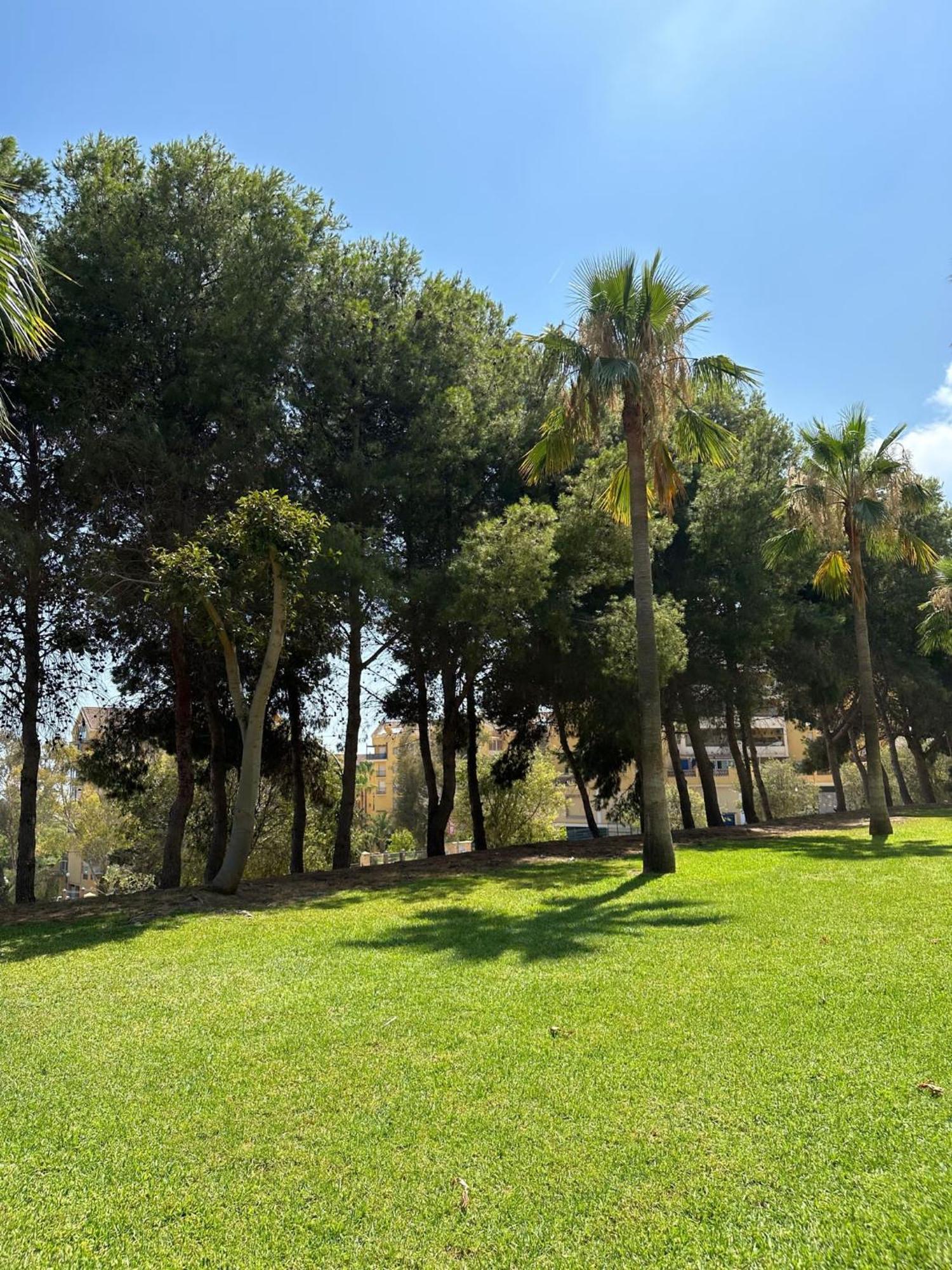 Benalmadena Gamonal Apartment Malaga Luaran gambar